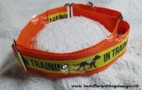 Halsband hulphond/servicedog/intraining