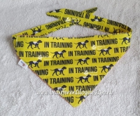Bandana "in training"